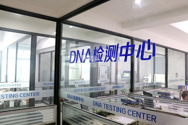ϾDNA